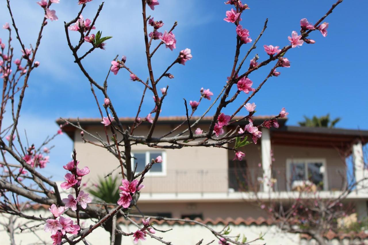 Residenza Anna Calabria Bed & Breakfast Briatico Bagian luar foto